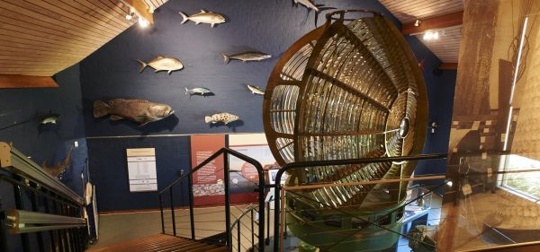 Museum of the Great Southern